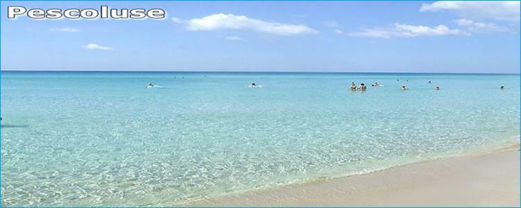 Le Dimore Di Luciana Marina Di Pescoluse Buitenkant foto